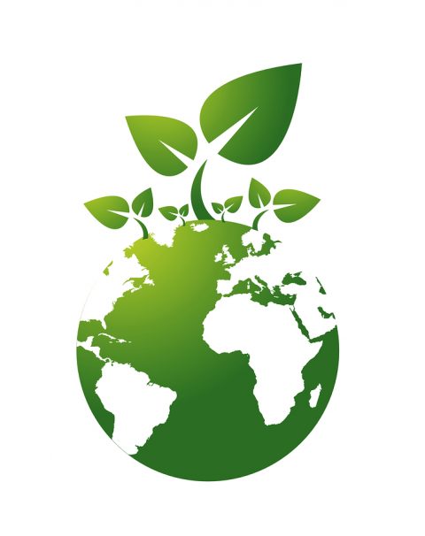 Environmental Investment | Withycombe Financial Services Ltd